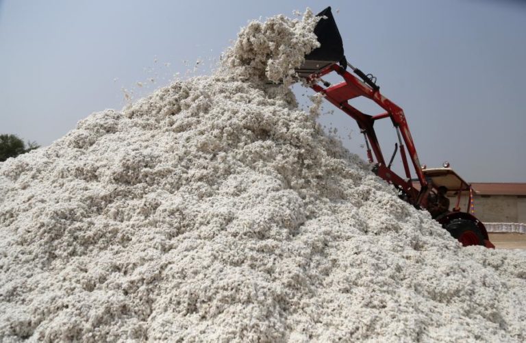 Moçambique quer aumentar produção de algodão para 60 mil toneladas ano – Governo