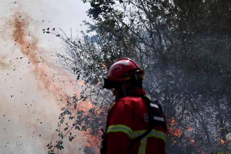 Fogo em Penacova mobiliza mais de 200 operacionais e 13 meios aéreos