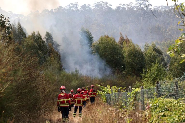 Onze concelhos de quatro distritos em perigo máximo de incêndio