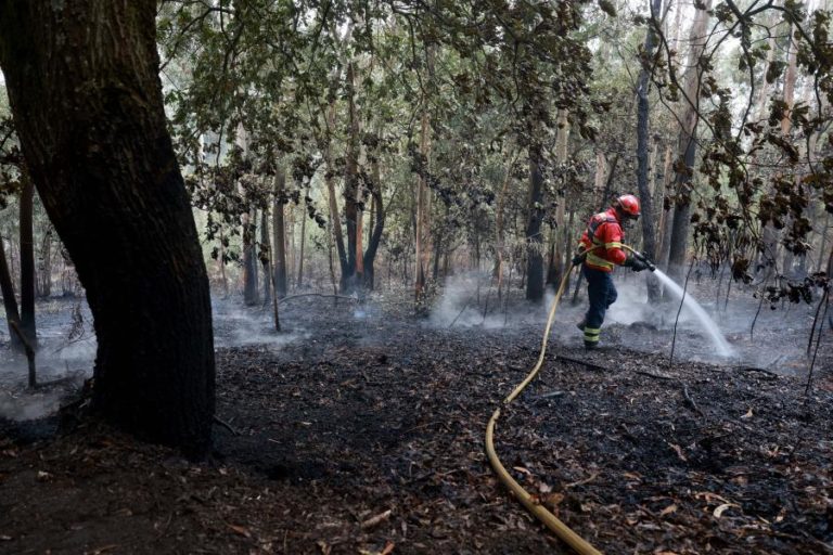 Fogo no concelho de Porto de Mós em fase de resolução