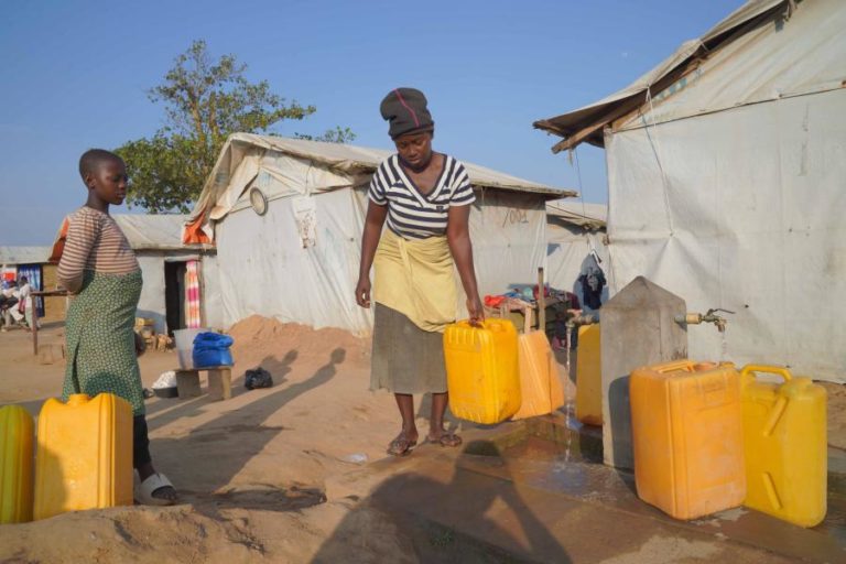 Angola prepara projeto Nature4Health para prevenir pandemias