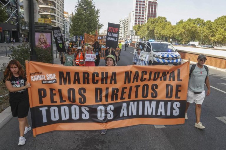 Cerca de 300 pessoas manifestaram-se em Lisboa pelos direitos “de todos os animais”