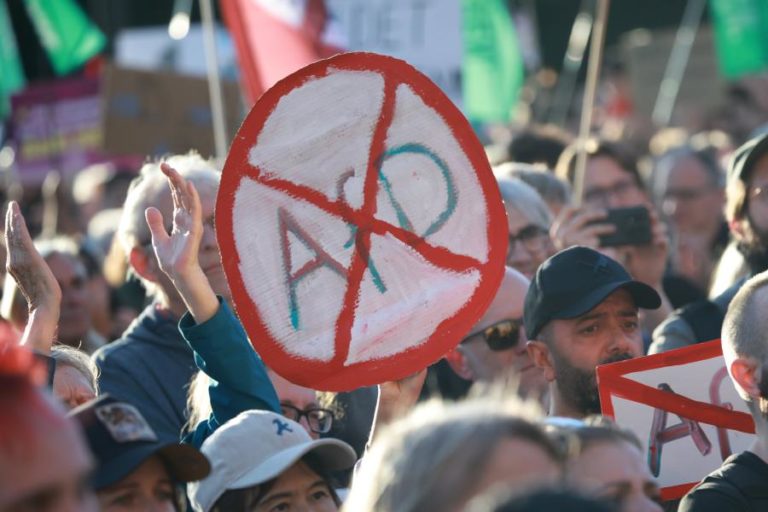 Manifestantes pedem verificação constitucional da AfD antes de eleições na Alemanha