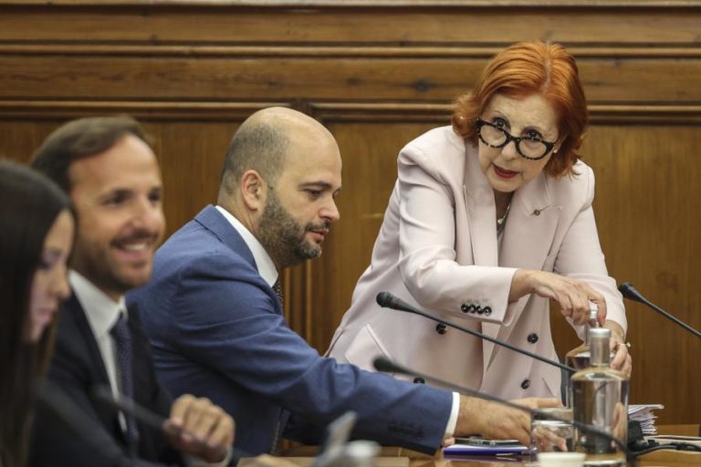 “Fiscalidade dos combustíveis é importantíssima” para financiar SNS e Educação – ministra
