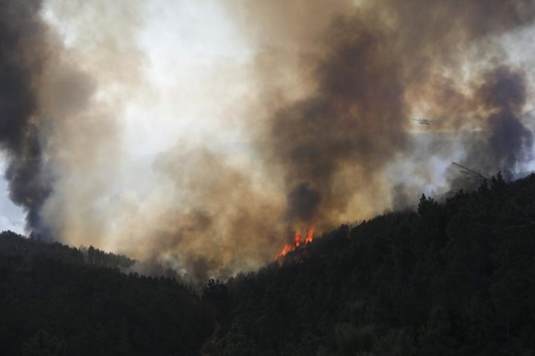 Cerca de 50 concelhos de sete distritos em perigo máximo de incêndio