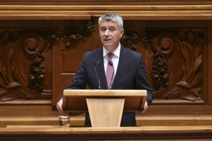 47796155.JPG