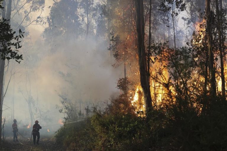 Cerca de 40 concelhos em perigo máximo de incêndio no Centro e Algarve
