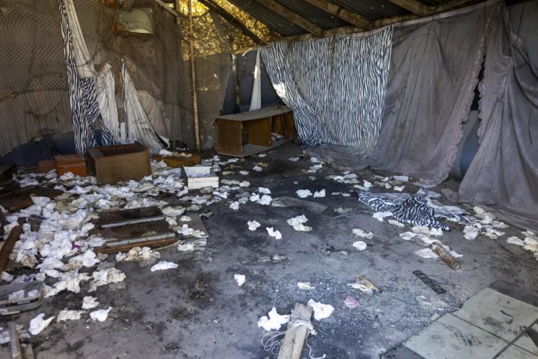 Moradores em barracas de Vila Franca de Xira acusam autarquia de querer “dar boa imagem”