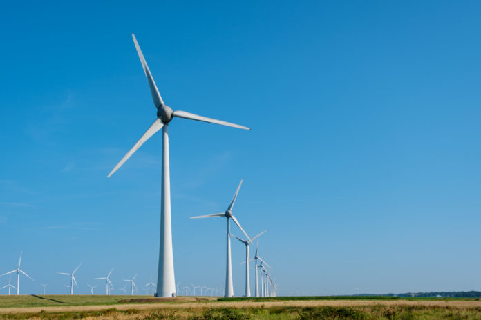 Majestic Windmill Park in the Netherlands Under Bright Blue Sky